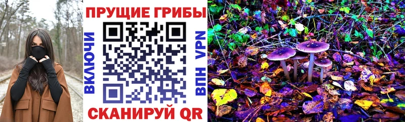 OMG вход  Вязьма  Галлюциногенные грибы GOLDEN TEACHER 